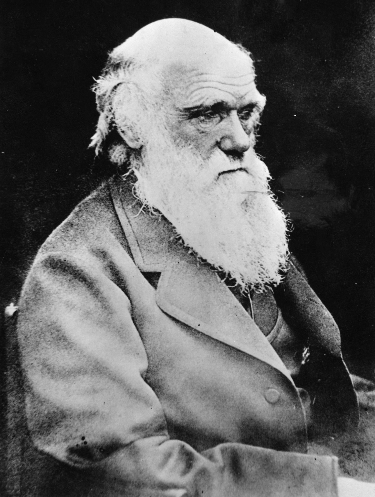 Чарльз Дарвин.