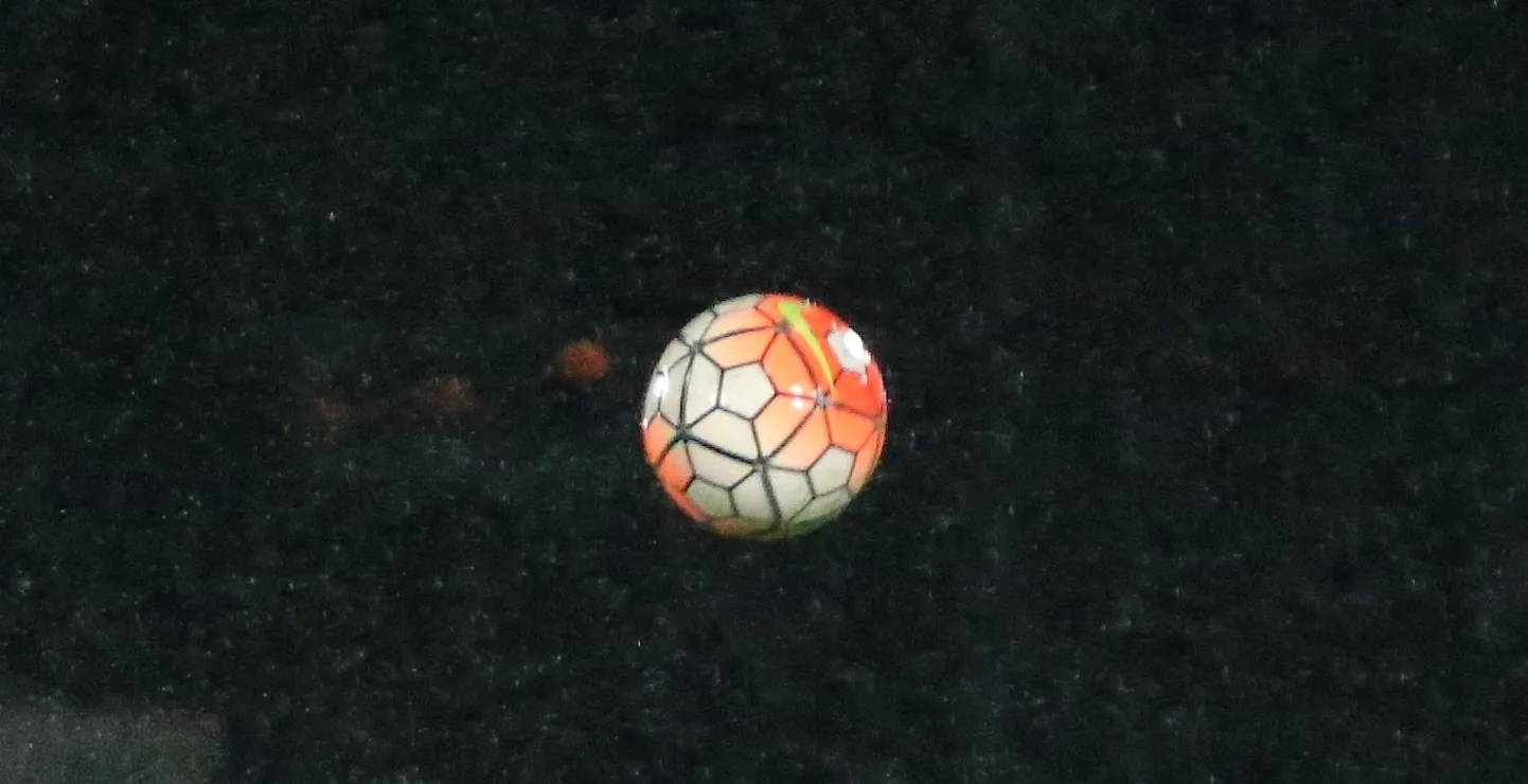 Artikli foto