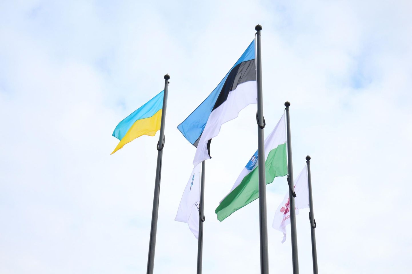 Kui neljapäeval tähistati Paide gümnaasiumi õues Eesti sünnipäeva, siis lehvis toetuse märgiks mastis ka Ukraina lipp.