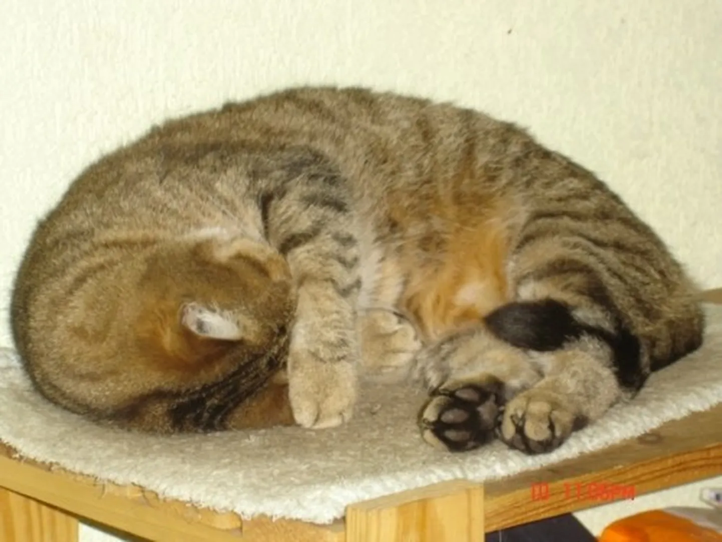 Raksta foto