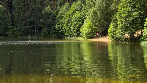 Swimming in Viitna Lake is not recommended