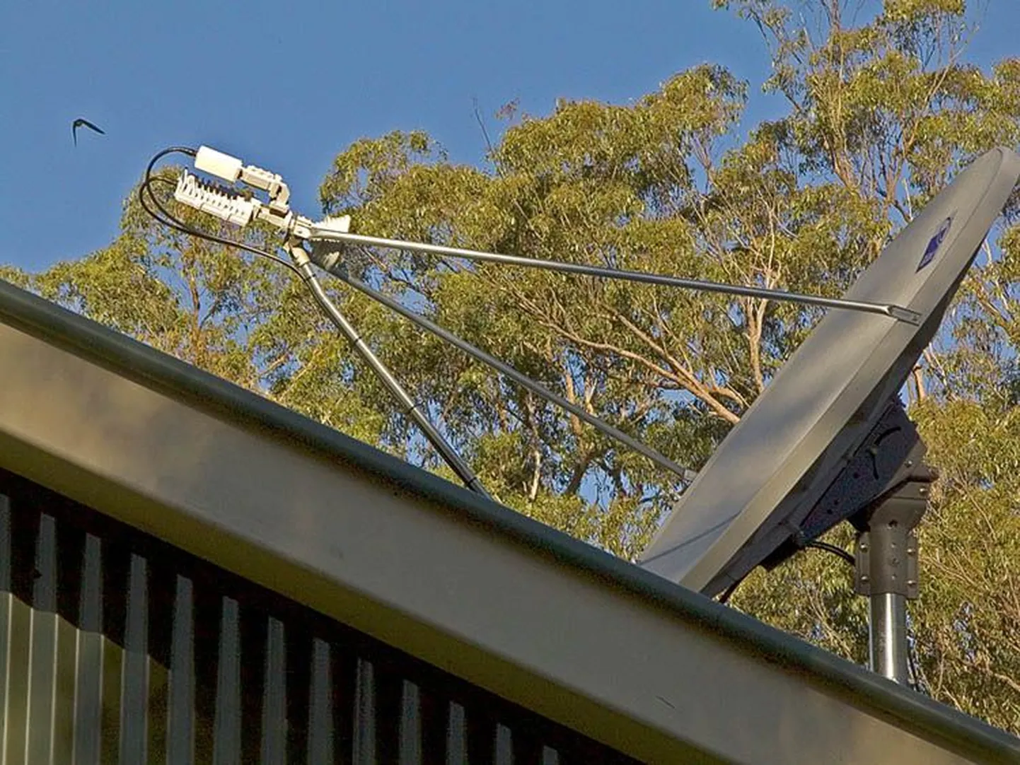 Satelliittaldrik
