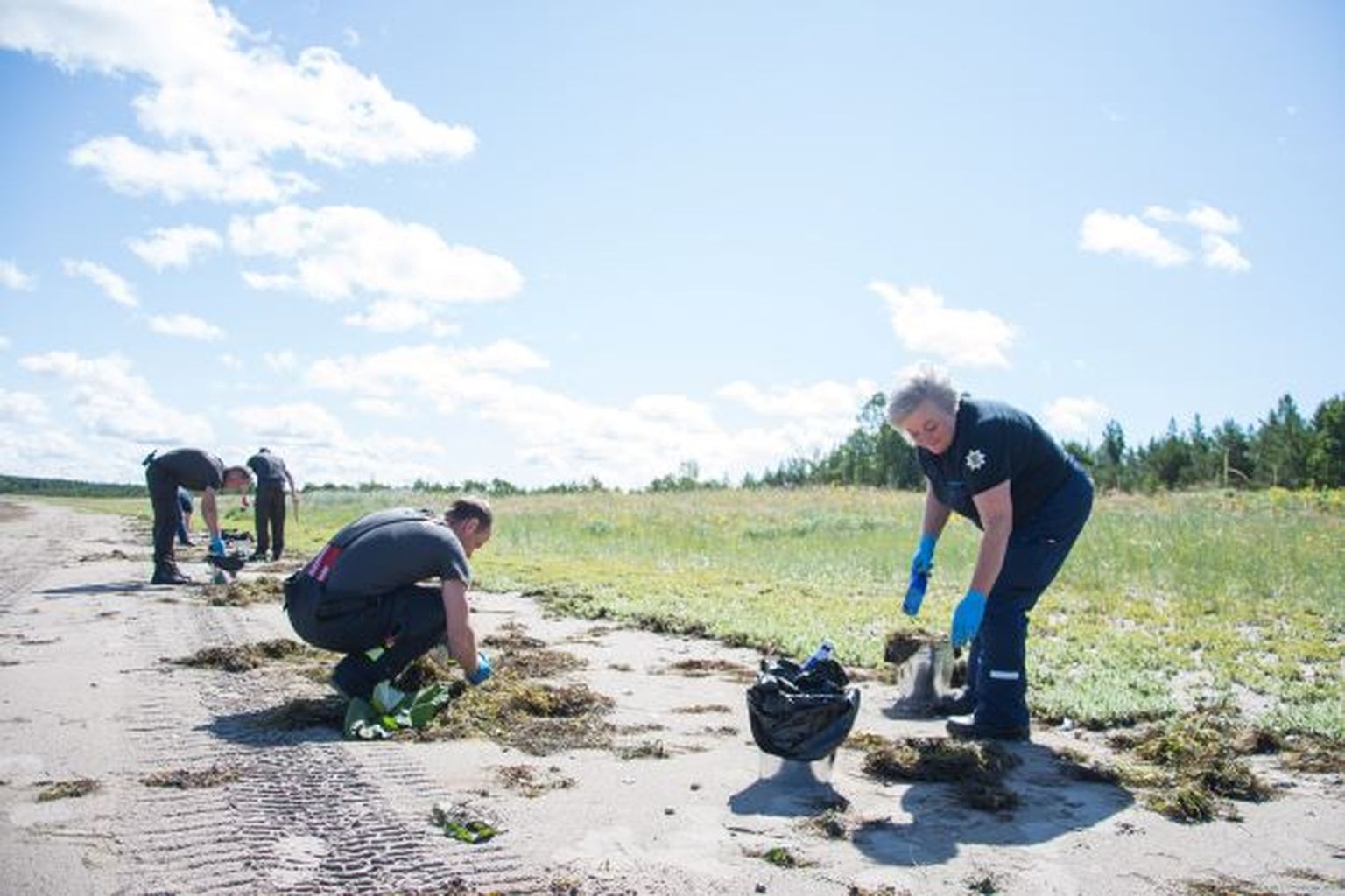 Reostuse koristamine Saaremaal.