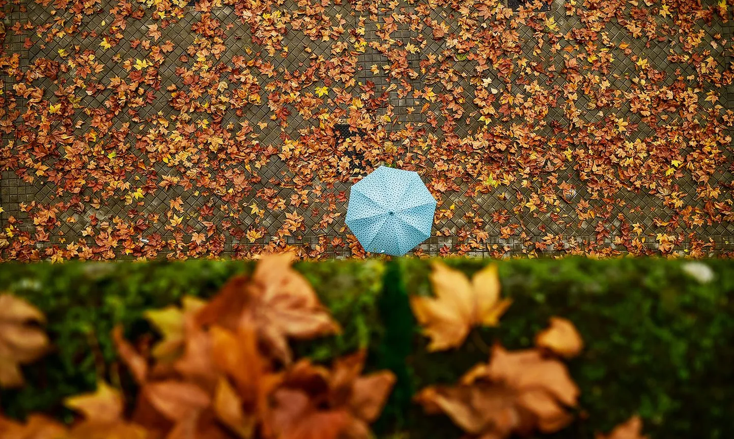 Фото статьи