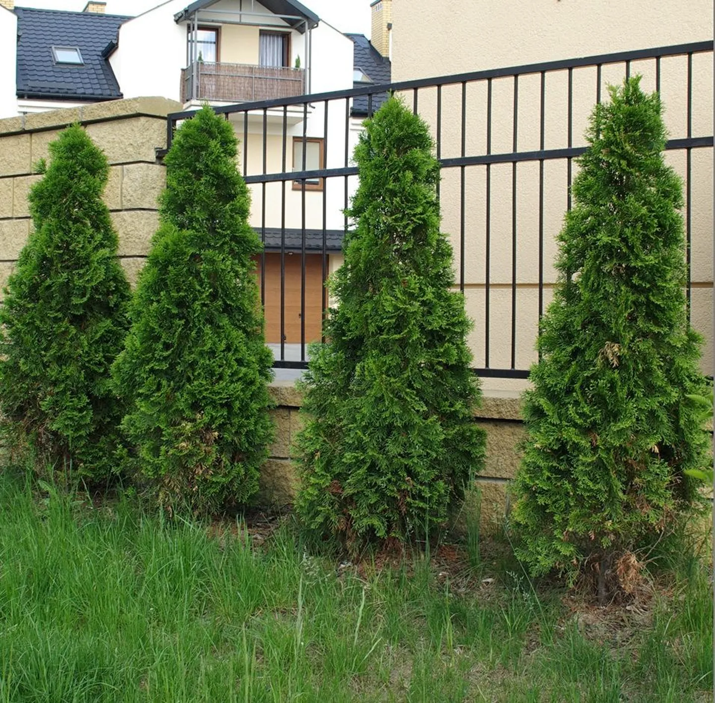 Foto on illustratiivne.