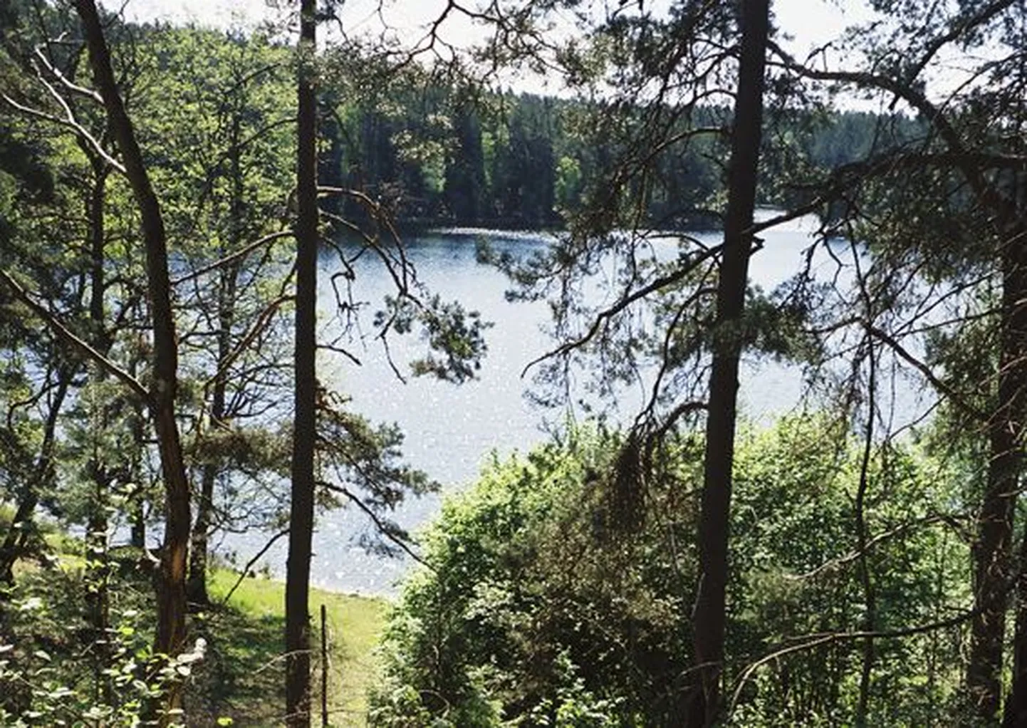 Viitna Pikkjärv.
