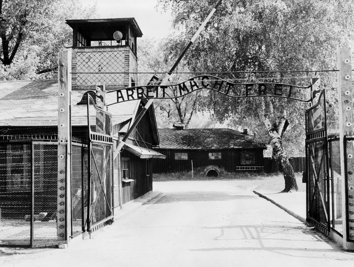 Foto Auschwitzi koonduslaagrist 1945. aasta aprillis