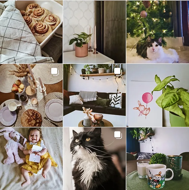 Silmapaitavalt stiilne lehekülg neile, kes armastava kiisusid, aga ka neile, keda paeluvad maitsekad sisekujunduslahendused. Milline oskus detailidega meeleolu luua!