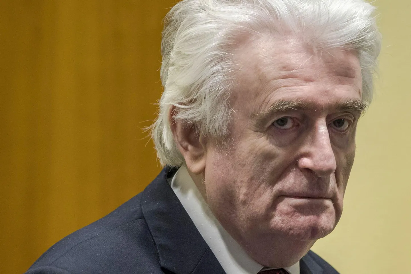 Radovan Karadžić.