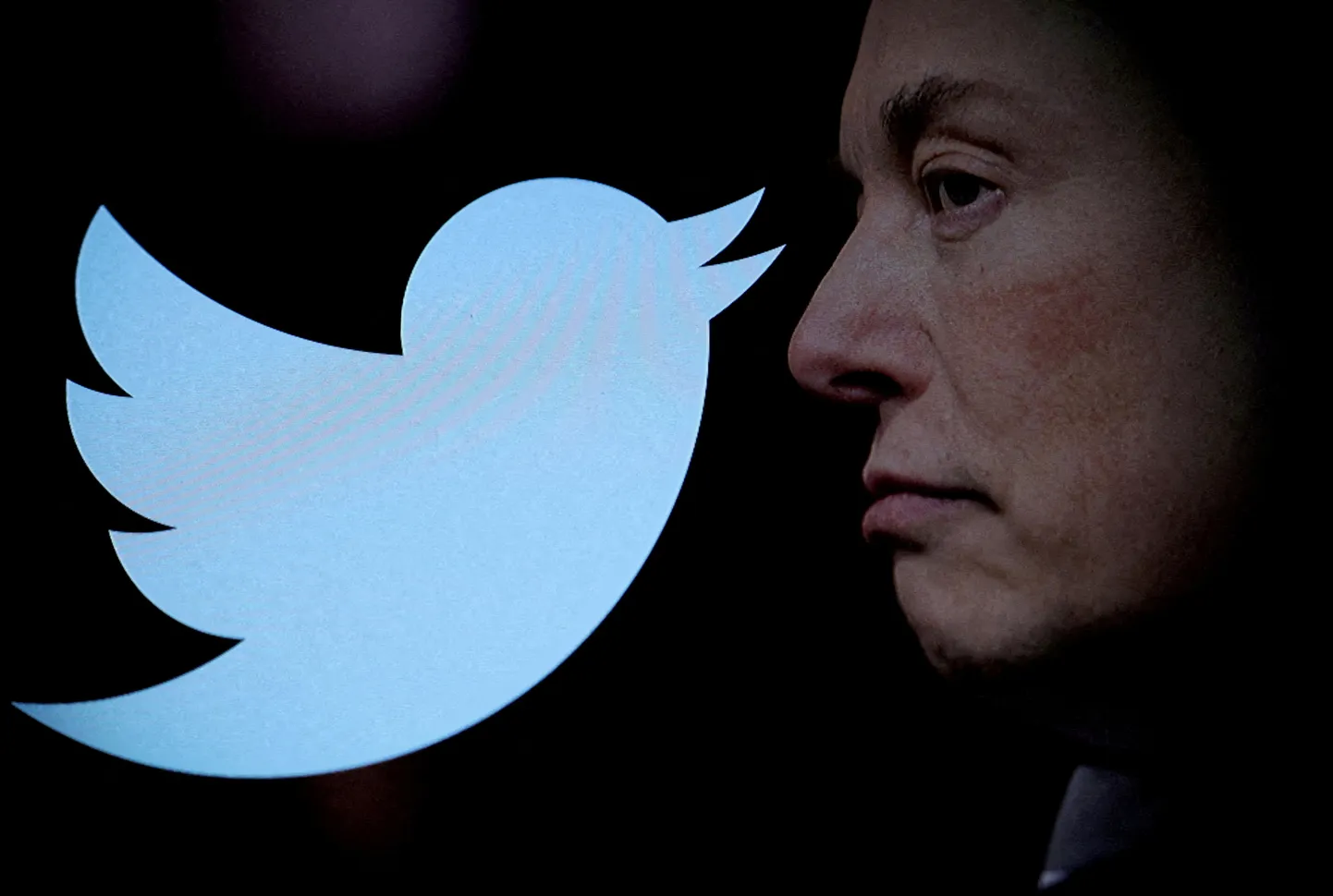 Twitteri logo ja omanik Elon Musk