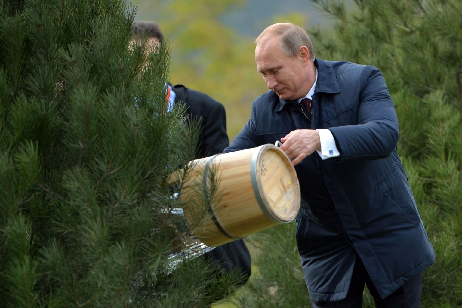 Президент РФ Владимир Путин поливает дерево в ходе китайской церемонии.
