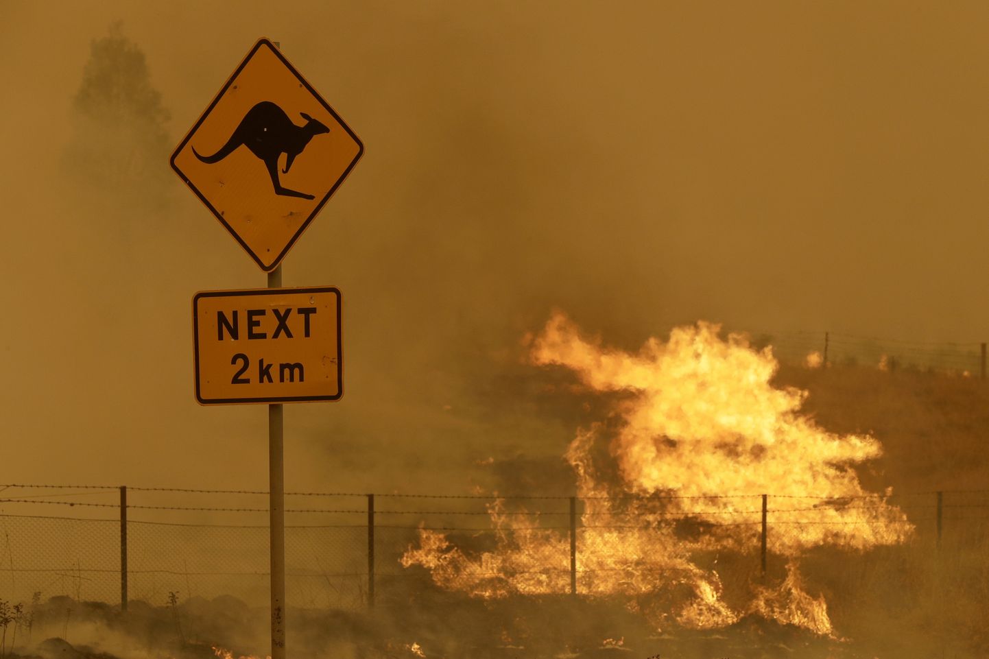 Maastikupõleng Austraalia pealinnast Canberrast lõunas Bumbalongi lähistel 1. veebruar 2020.