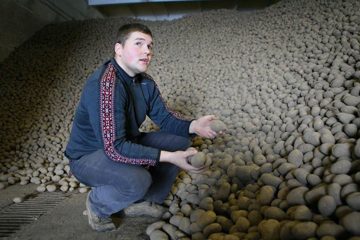 Osaühingu Westi Kartul juhatuse liige ja tegevjuht Maido Saarman usub, et kodumaist kartulit Eestis uue saagini ei jagu. Praegu on tal mullusest saagist alles vaid kümnendik. Liigniiskuse tõttu jäi põllule neli hektarit kartuleid.