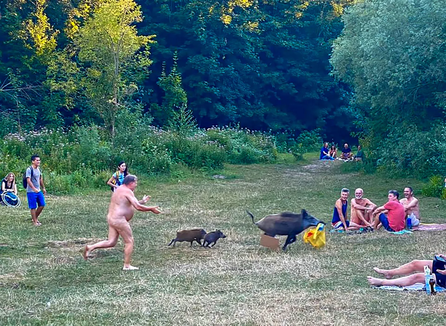 Berliini puhkealal ajas nudist ta sülearvuti varastanud metssiga taga