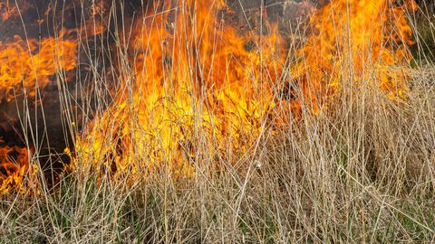 Sestdien dzēsti 47 kūlas ugunsgrēki