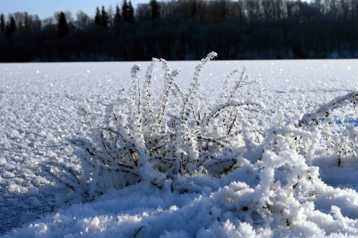 Praegu veekogudele tekkinud jää inimesi ei kanna ning sellele minna on eluohtlik.