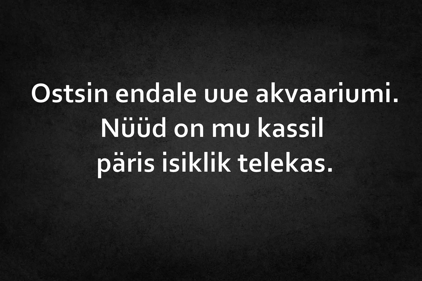 Artikli foto