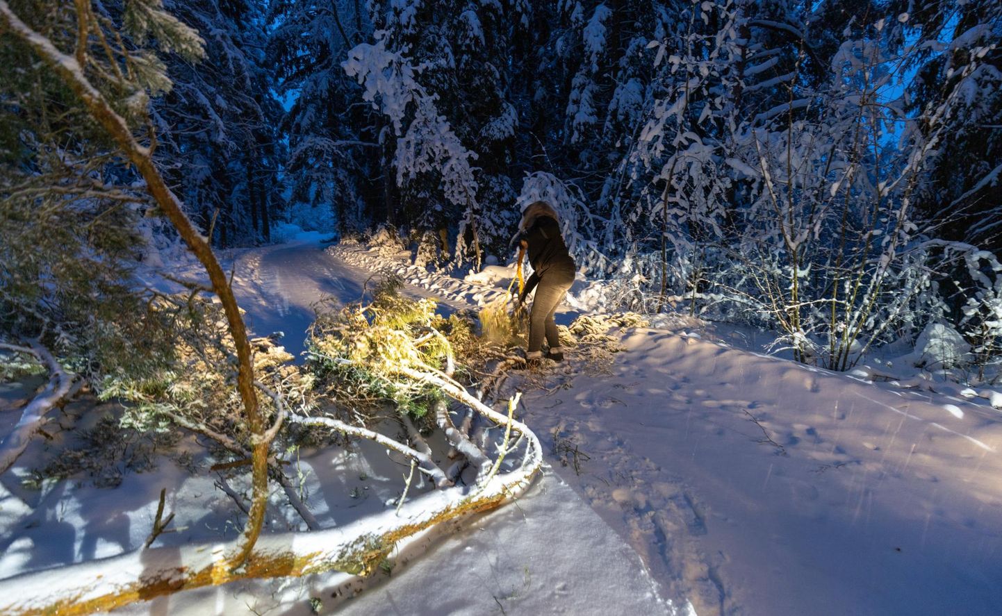 Maale posti viies on kulleril kaasas lumelabidas. Aga kui teele on kukkunud puu, pole sellest kasu. Sel varahommikul tegi kuller külateele sadanud lumele esimesed jäljed ja toimetas teelt eest sinna langenud männi.