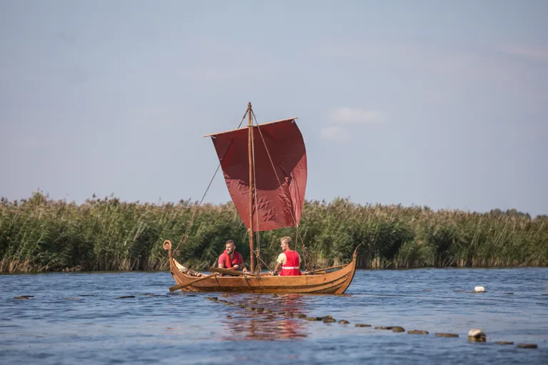 Mastipuuks leidsid ehitajad sobiva kuusetüve oma koduaida pööningult.