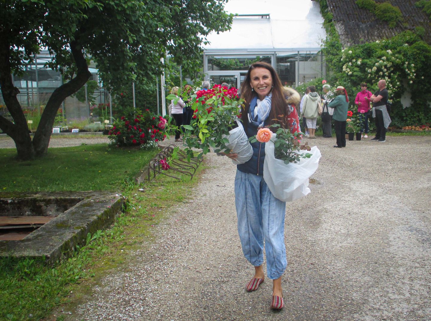 ROOSIAEDA: “Mardi talu aeda sobivad need roosid suurepäraselt,” rõõmustab taluperenaine, Karala seltsi aktiivne liige Lilian Maastik.