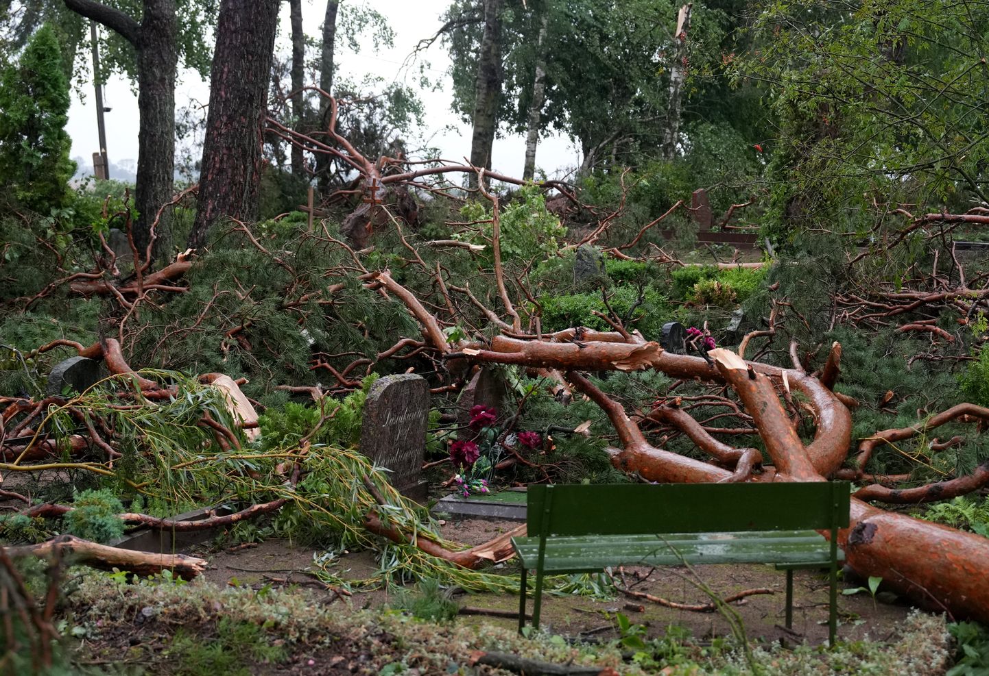Vētras postījumi "Virkus" kapos Dobeles novadā.