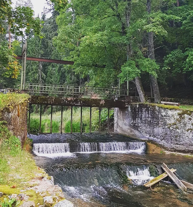 Raksta foto