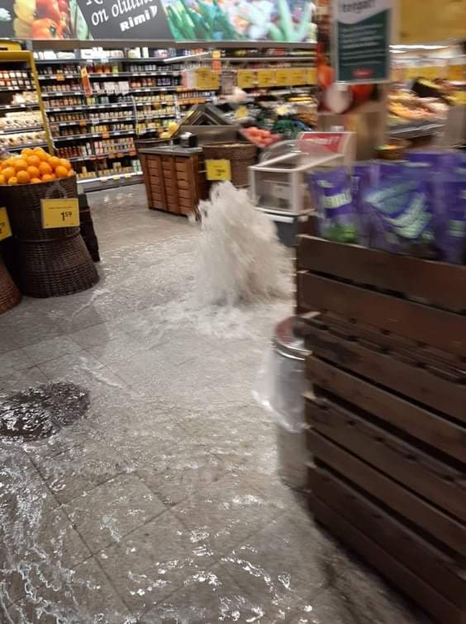 Ka Rimis hakkas paduvihm purskkaevuna saali tungima.