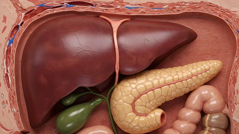 PANE TÄHELE ⟩ Need märgid näitavad, et maks ei ole terve