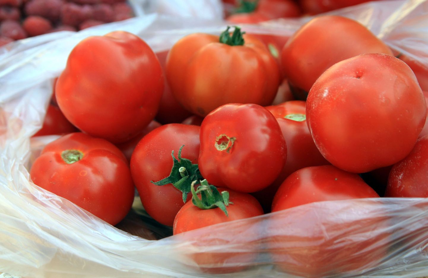 Tomatid turuletil. Foto on illustreeriv.