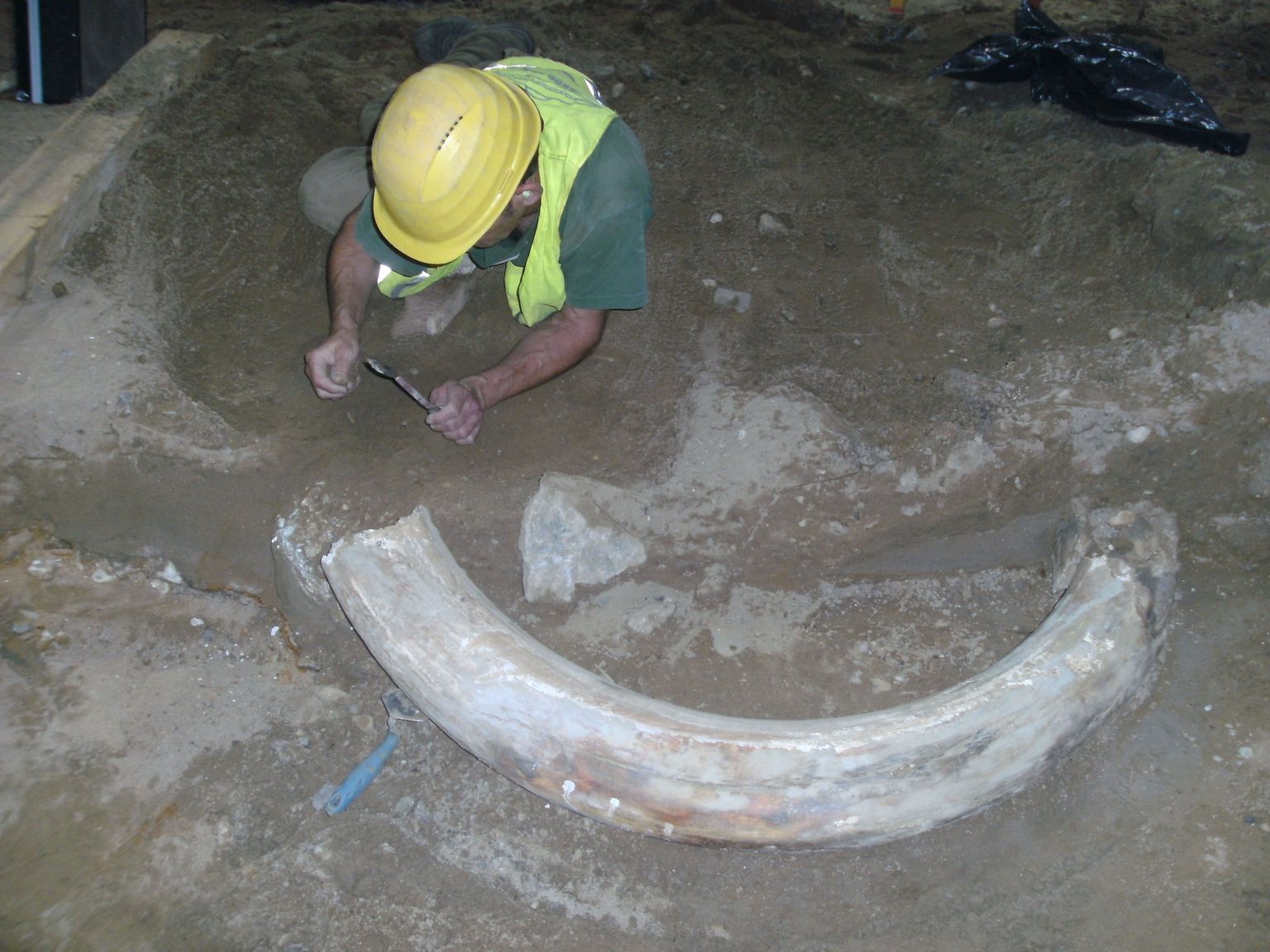 Düsseldorfis leiti maa-aluste kaevetööde käigus mammutikihv.