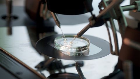 Soomes avaneb doonorlastel tänavu lõpuks võimalus saada teada oma päritolu