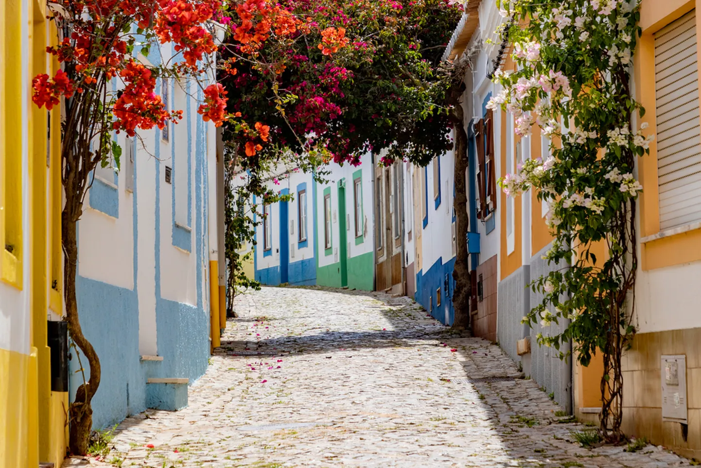 Portugal.