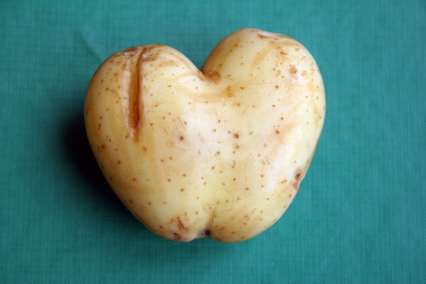 Südamekujuline kartul.