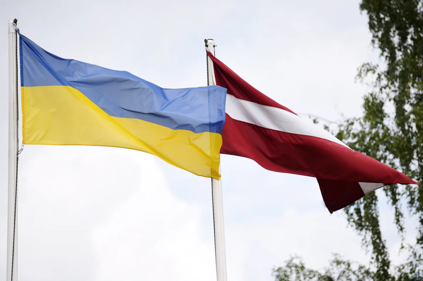 Флаги Украины и Латвии