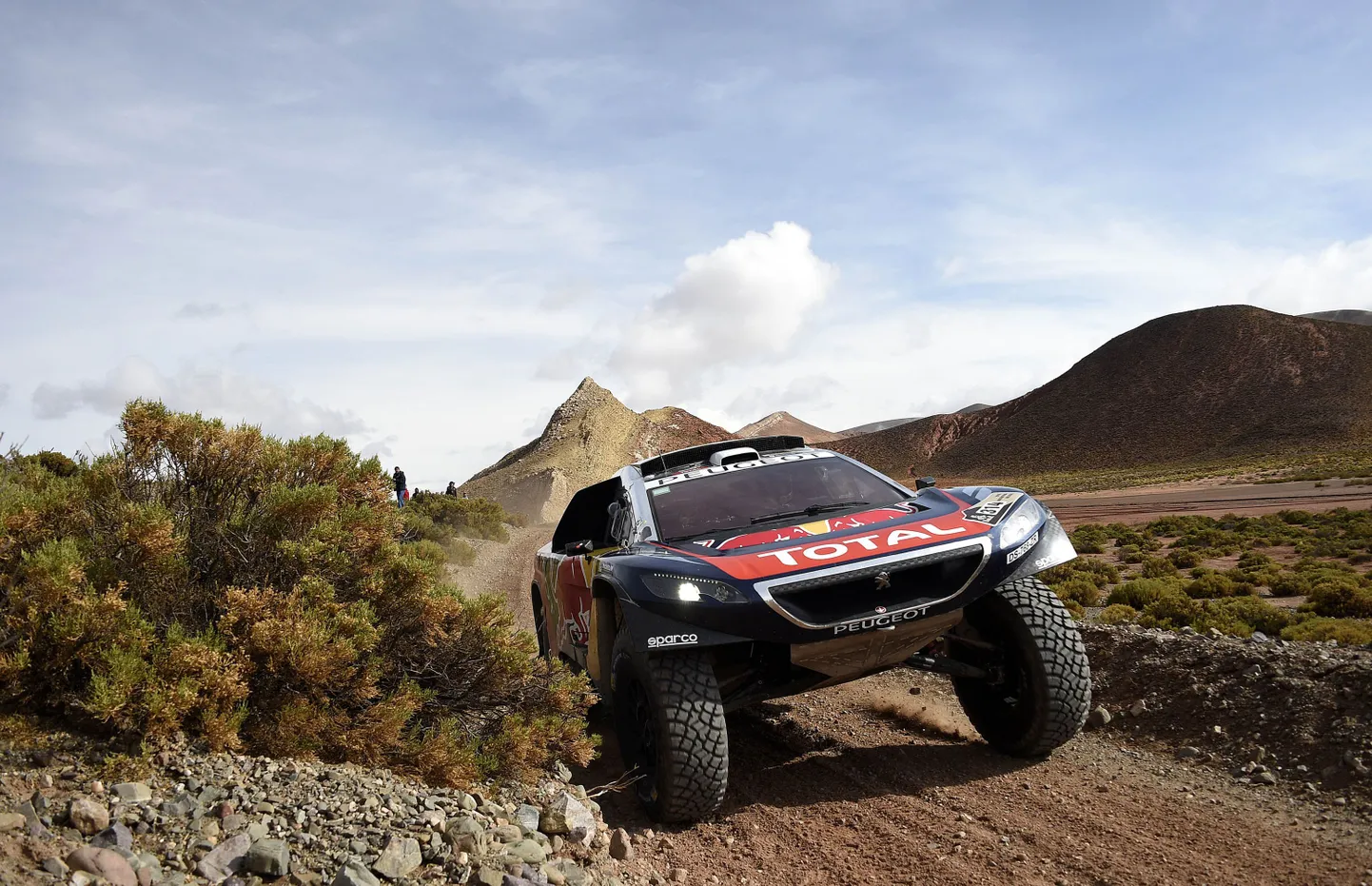 Sebastien Loeb.