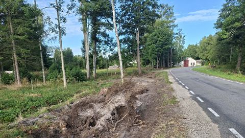 Vana mõisa iidne võimas kiviaed läks teehoolduse käigus hävitamisele