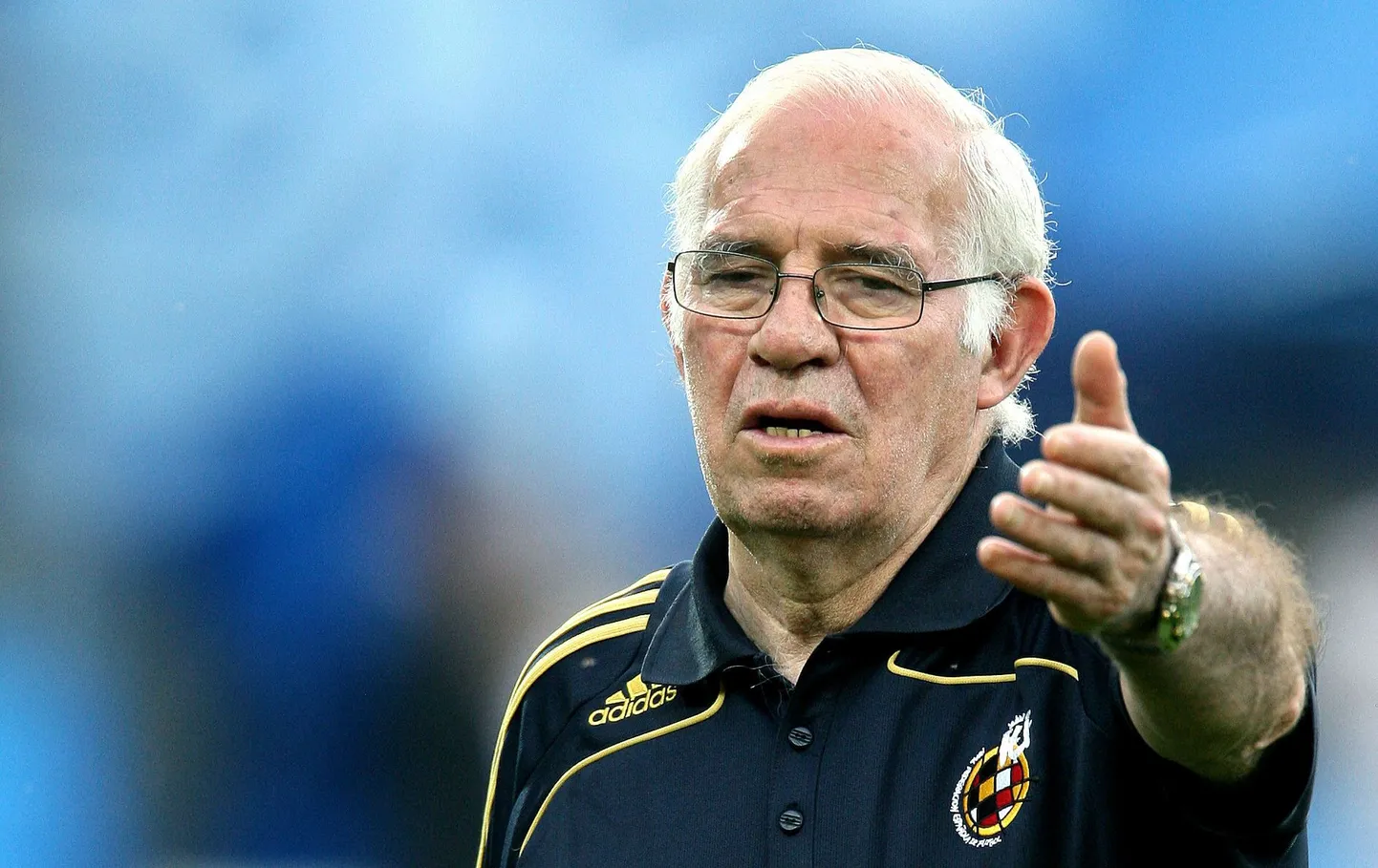 Luis Aragones