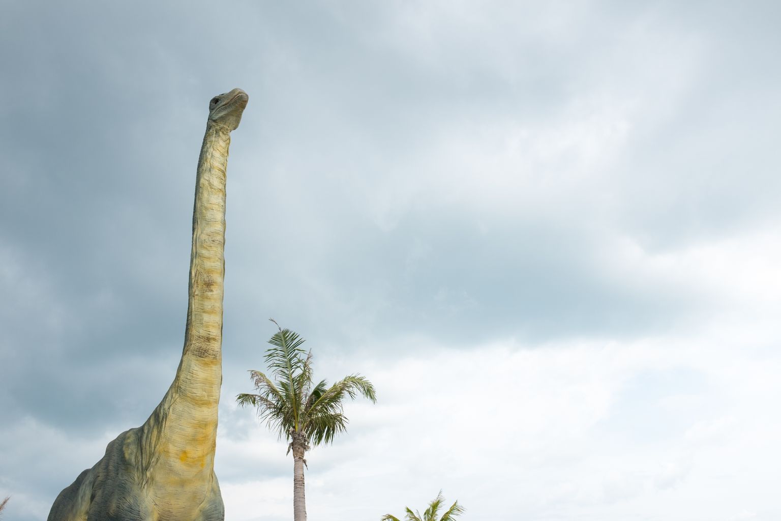 Supersaurus oli tõenäoliselt kõige pikem meie planeedil elanud hiidsisalik. Pildil pika kaelaga dinosaurus, pilt on illustreeriv