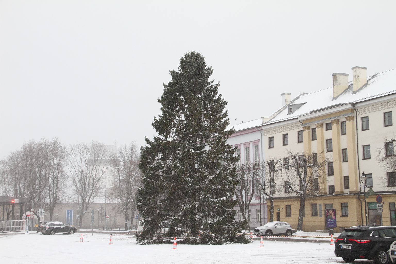 Новогодняя елка в Нарве.