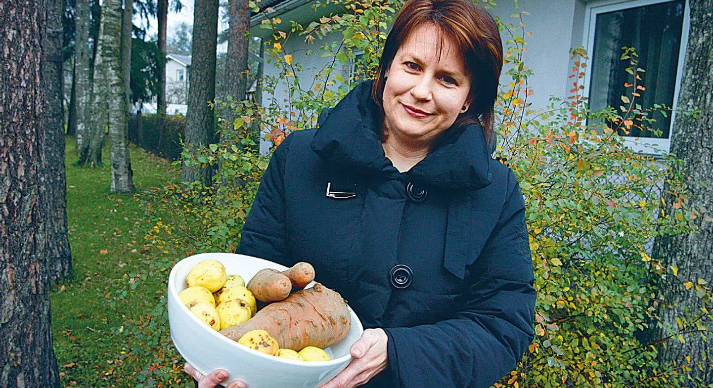 Tallinna Kaubamaja toidumaailma juhataja Kadri Aguraijuja arvas, et edaspidi võtaks nad sellise välimusega õunad-porgandid müüki küll – eks siis ole näha, kas neid ka ostetakse.