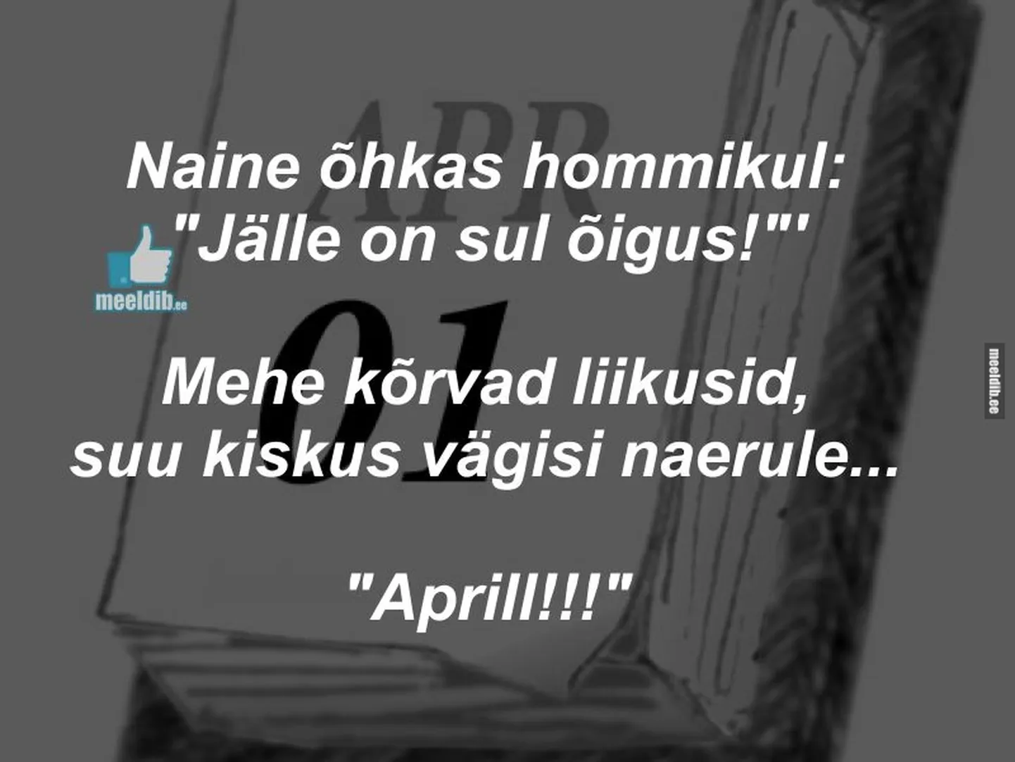 Artikli foto