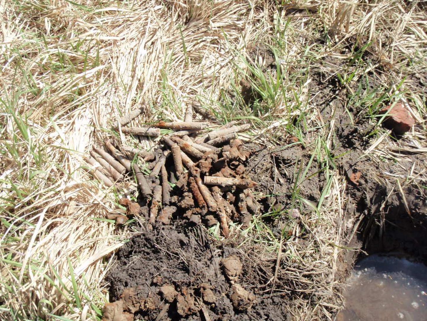 Pärnust Uus-Sauga tänavalt leiti 12,7mm kaliibriga padrunid.