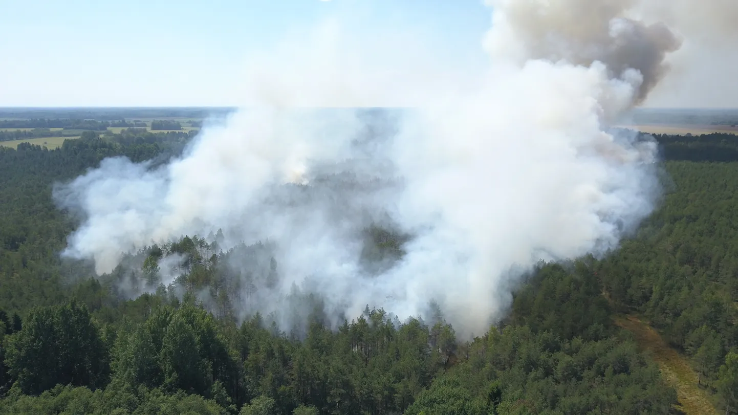 Metsapõleng. Pilt on illustratiivne.