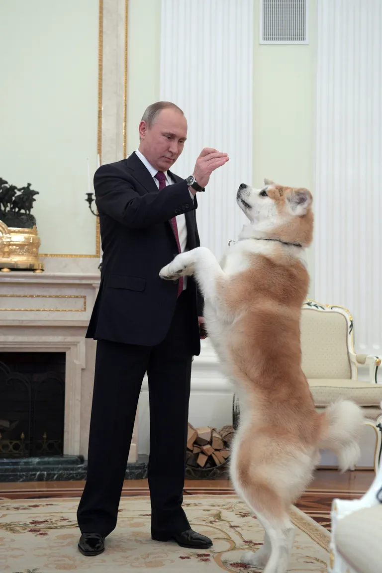 Putin ja Yume.