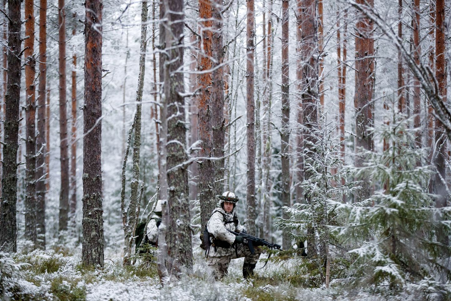 Финские солдаты на учениях в заснеженном лесу.