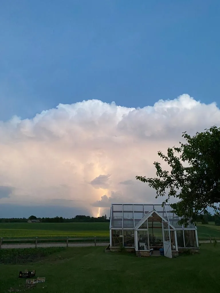 Raksta foto