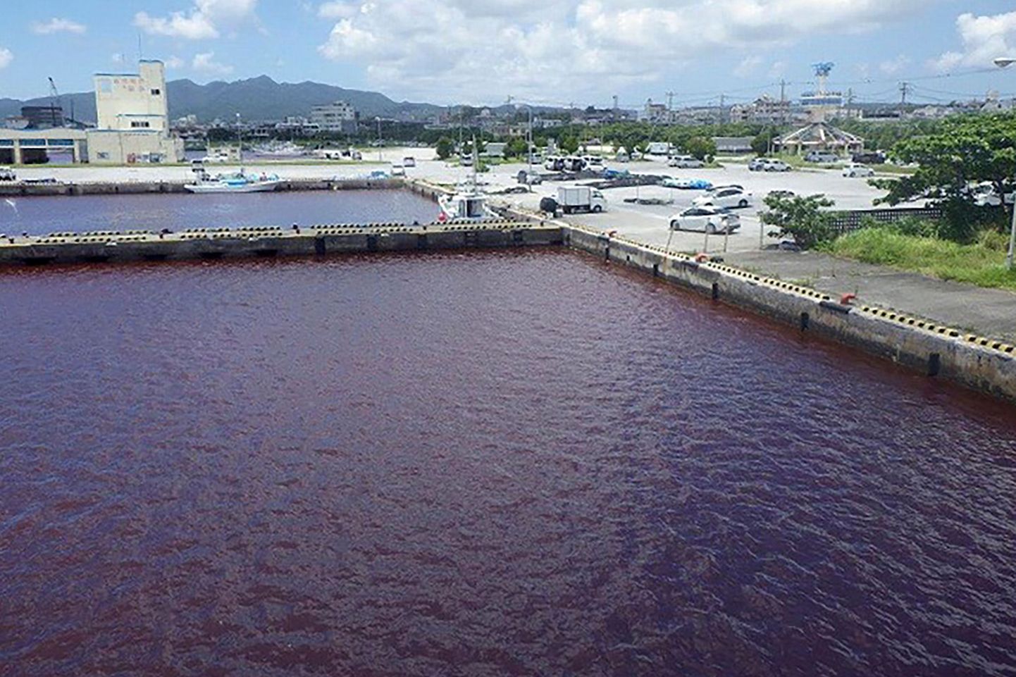 Punaseks värvunud vesi Nagos