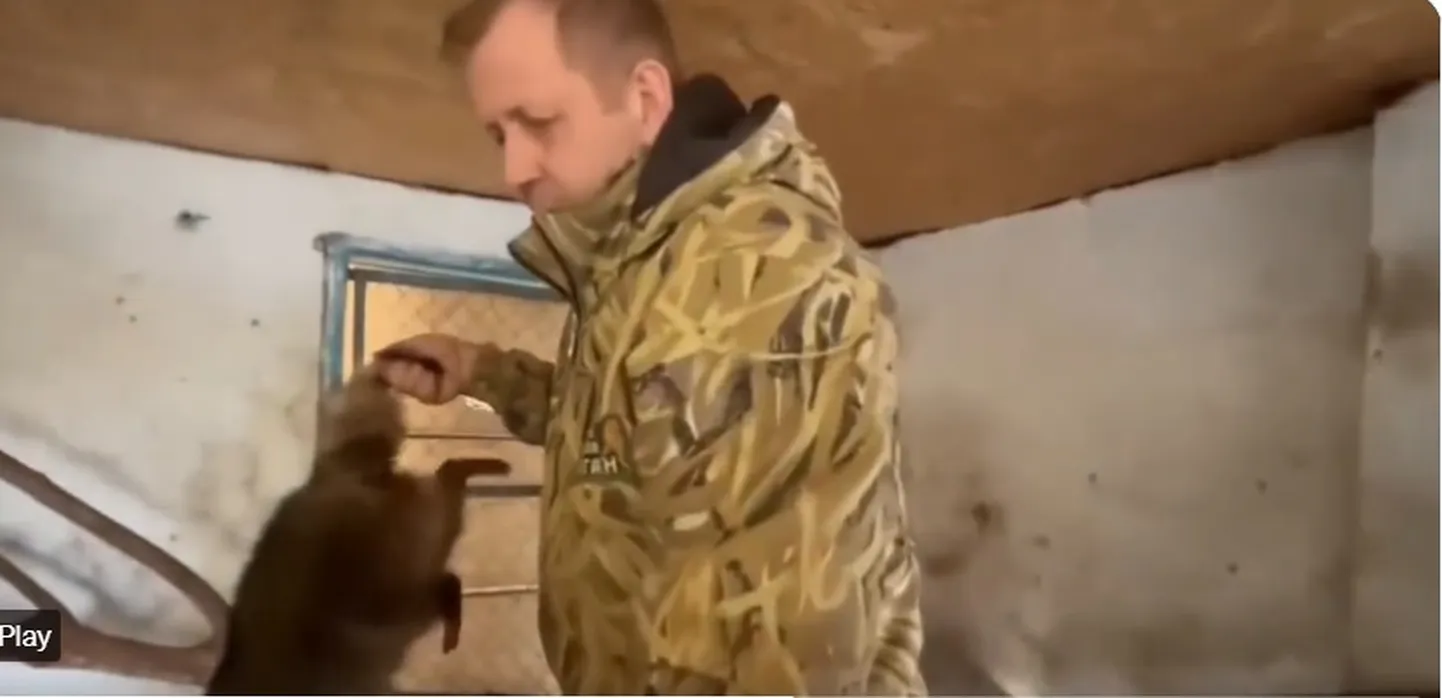 Hersoni pesukaru vastu pakutakse vahetuskaupa