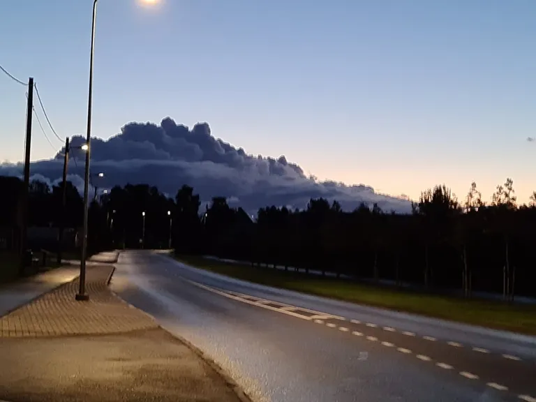Artikli foto
