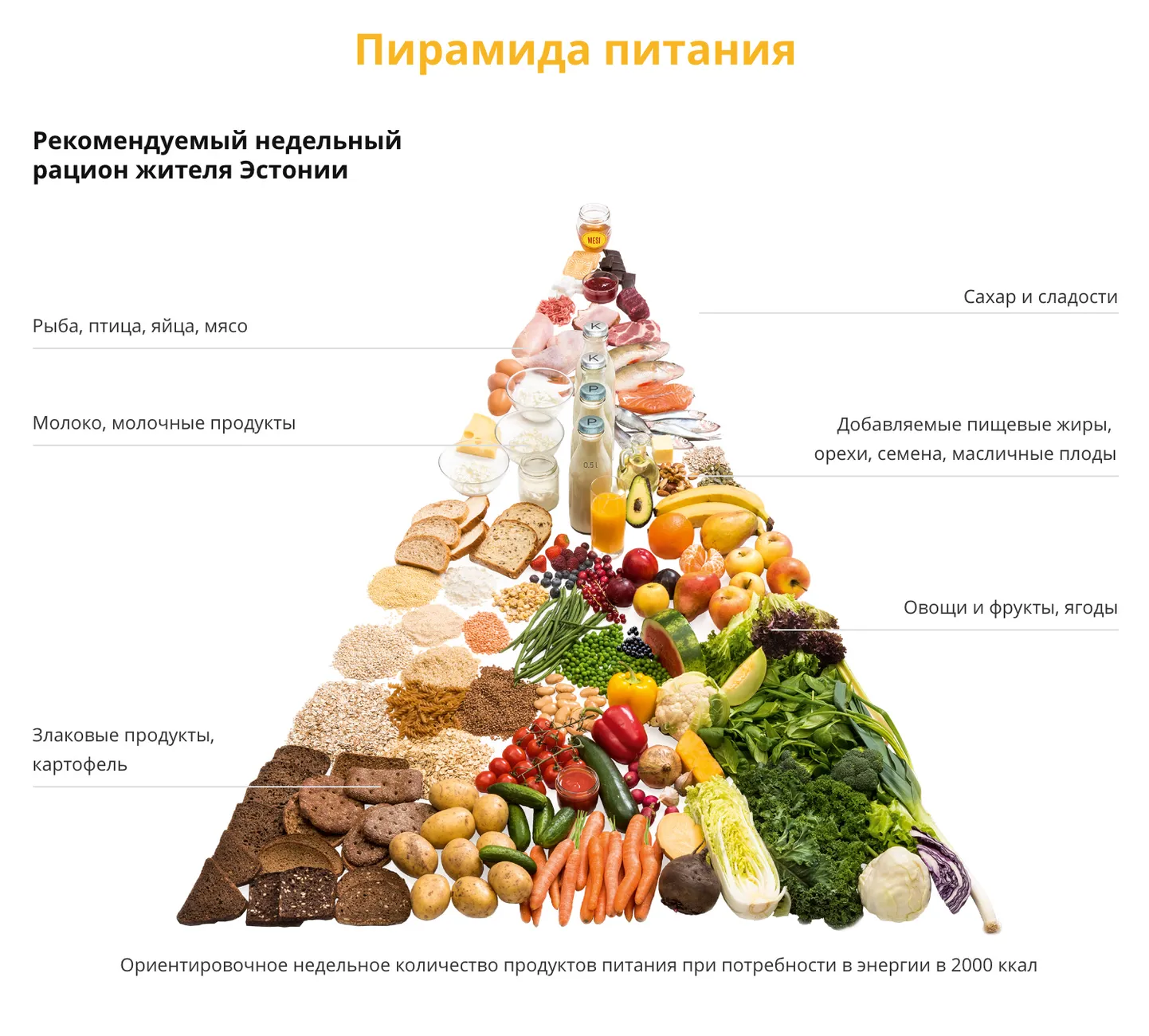 Пирамида питания.